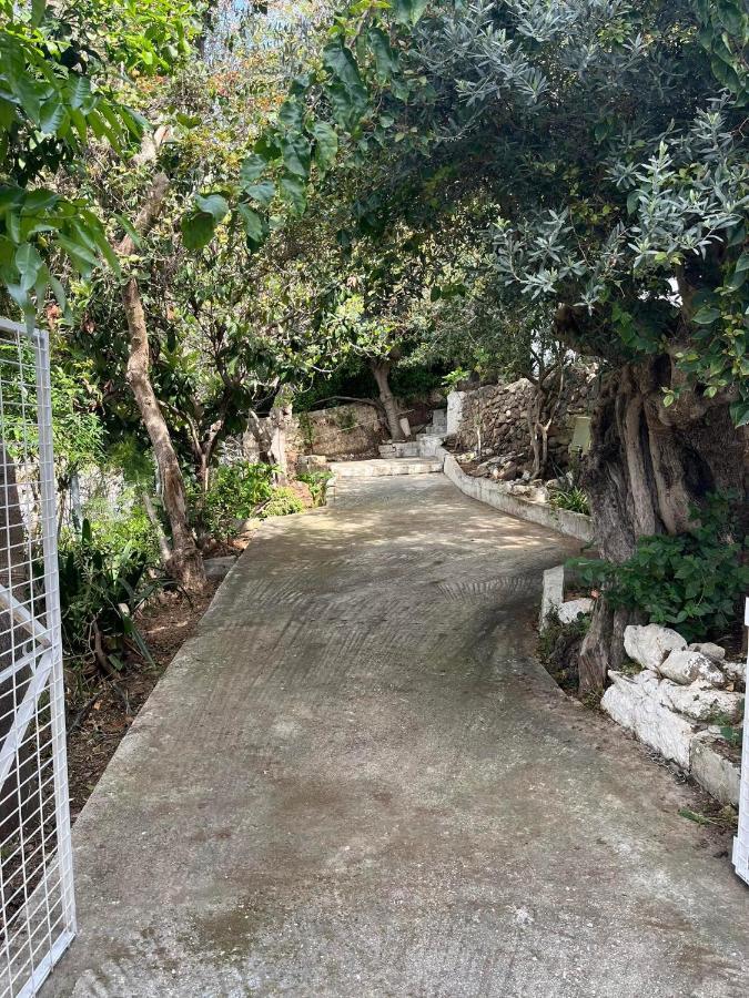 Aegean Summer House Poros Town エクステリア 写真